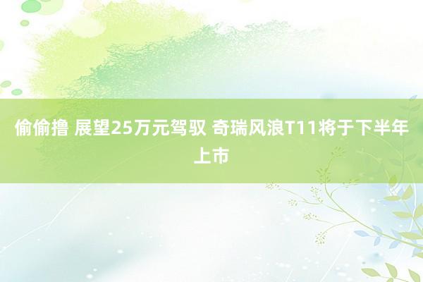 偷偷撸 展望25万元驾驭 奇瑞风浪T11将于下半年上市