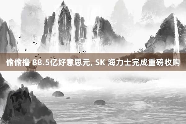偷偷撸 88.5亿好意思元， SK 海力士完成重磅收购