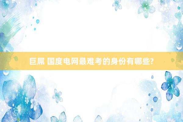巨屌 国度电网最难考的身份有哪些?
