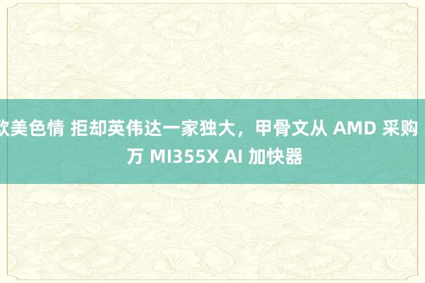 欧美色情 拒却英伟达一家独大，甲骨文从 AMD 采购 3 万 MI355X AI 加快器